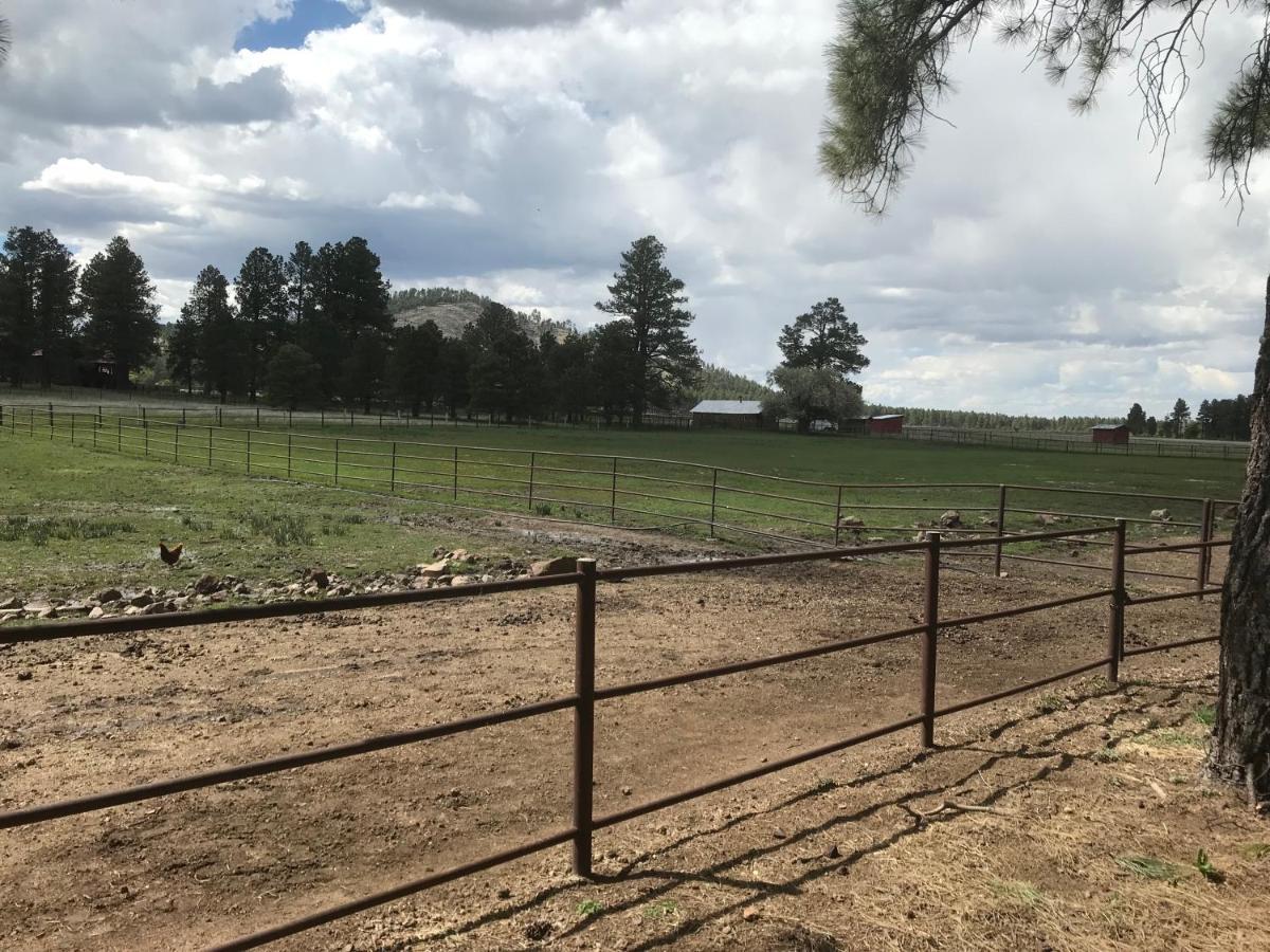 Grand Canyon Cottage At Historic Wrigley Ranch With Horseback Riding & Shooting Parks Exterior photo
